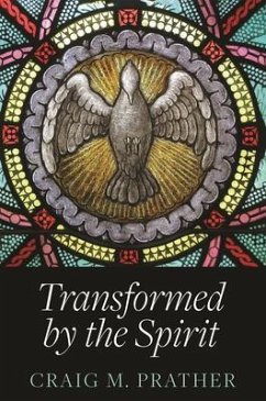 Cover Transformed by the Spirit (eBook, ePUB)