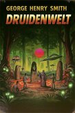 Druidenwelt (eBook, ePUB) Druidenwelt (eBook, ePUB)