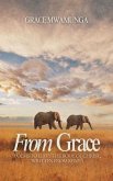 From Grace (eBook, ePUB)