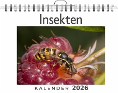 Insekten Cover Insekten