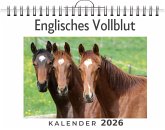 Englisches Vollblut