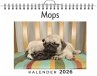 Mops - Bild 1