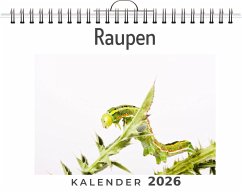 Raupen - Klein, Samuel