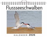 Flussseeschwalben