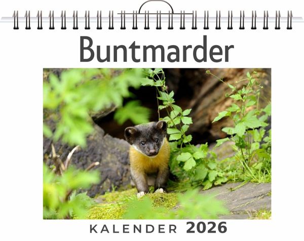 Buntmarder Buntmarder