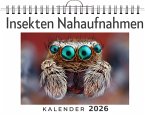 Insekten Nahaufnahmen Insekten Nahaufnahmen
