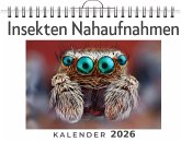 Insekten Nahaufnahmen