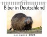 Biber in Deutschland - Bild 1