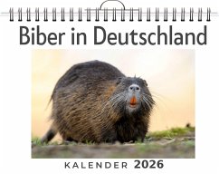 Biber in Deutschland Cover Biber in Deutschland