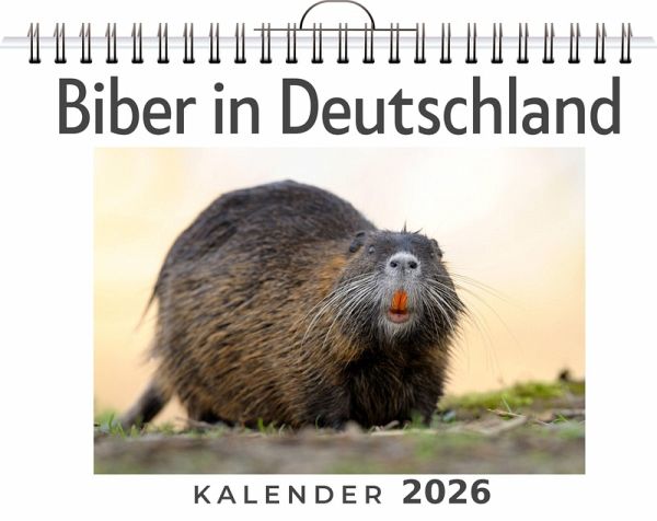 Biber in Deutschland Biber in Deutschland