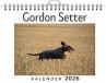 Gordon Setter - Bild 1