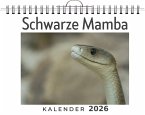 Schwarze Mamba Schwarze Mamba