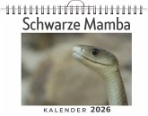 Schwarze Mamba