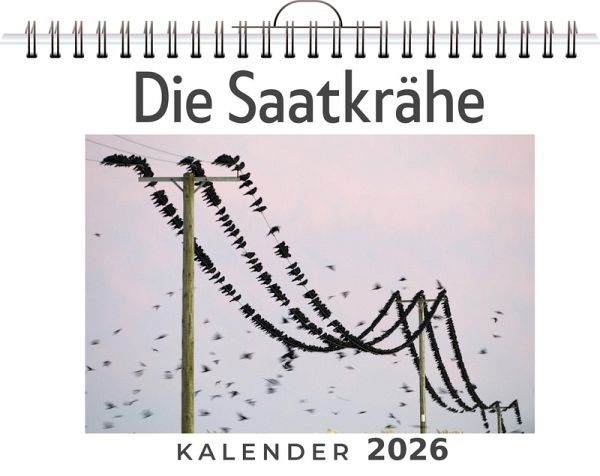 Die Saatkrähe Die Saatkrähe
