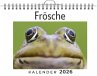 Frösche - Bild 1
