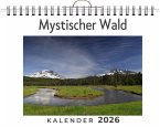 Mystischer Wald Mystischer Wald