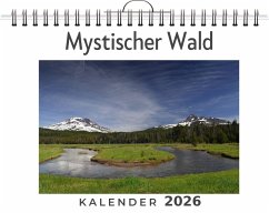 Cover Mystischer Wald