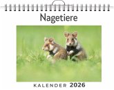 Nagetiere Nagetiere