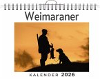 Weimaraner
