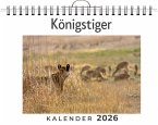 Königstiger
