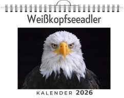 Cover Weißkopfseeadler