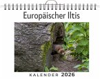 Europäischer Iltis Europäischer Iltis