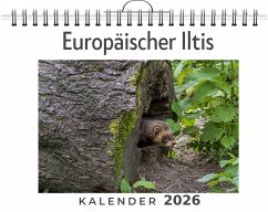 Cover Europäischer Iltis