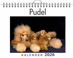 Pudel - Möller, Matteo Pudel - Möller, Matteo