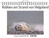 Robben am Strand von Helgoland Robben am Strand von Helgoland