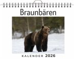 Braunbären Braunbären