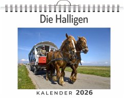Die Halligen - Krüger, Lena