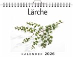 Lärche Lärche
