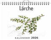 Lärche Lärche