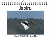 Jabiru