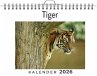 Tiger - Bild 1
