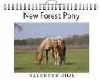 New Forest Pony