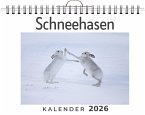 Schneehasen