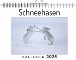 Cover Schneehasen