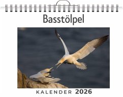 Cover Basstölpel