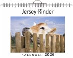 Jersey-Rinder Jersey-Rinder