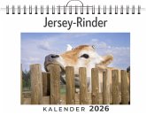 Jersey-Rinder