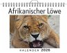 Afrikanischer Löwe - Bild 1