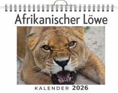 Afrikanischer Löwe - Horn, Samuel Afrikanischer Löwe - Horn, Samuel