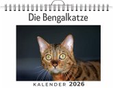 Die Bengalkatze