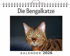 Cover Die Bengalkatze