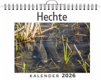 Hechte Hechte