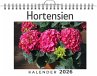 Hortensien - Bild 1