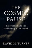 The Cosmic Pause