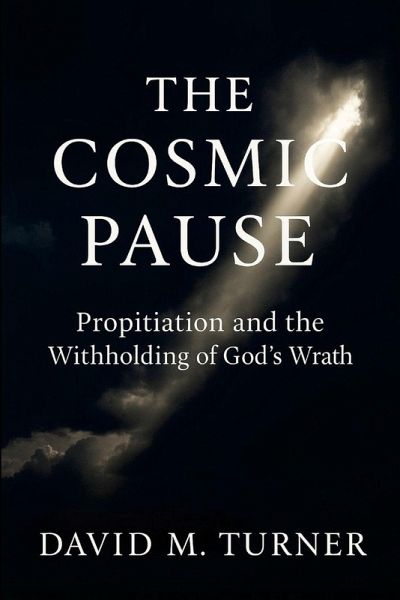 The Cosmic Pause The Cosmic Pause