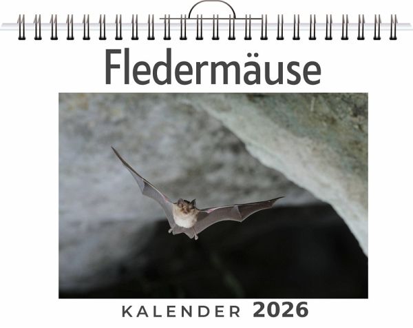 Fledermäuse Fledermäuse